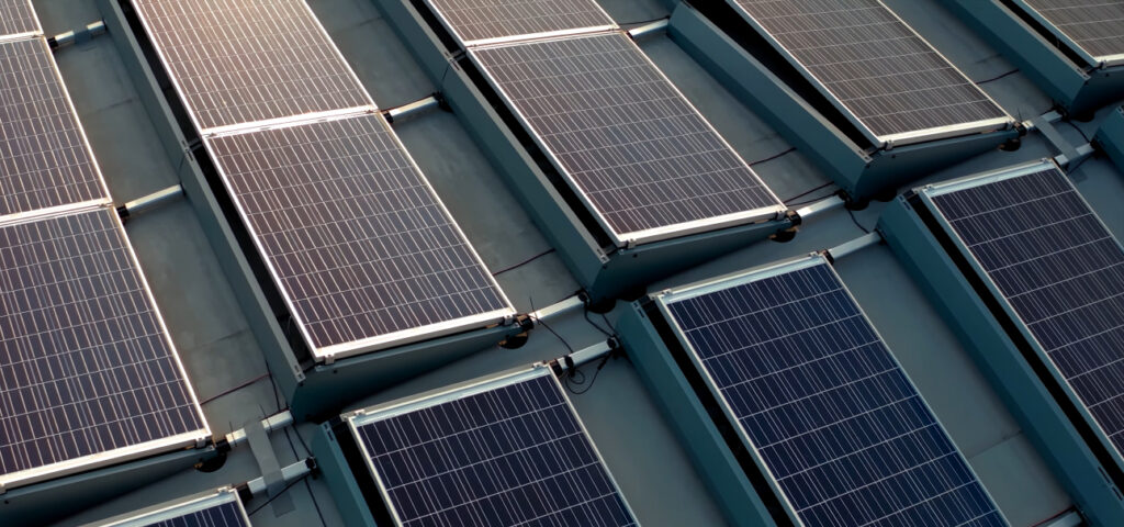 Empowering Growth with Innovative Solutions